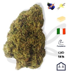 Fleur CBD Gelato Cake