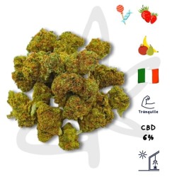 Fleur CBD Pop Corn