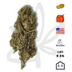 Fleur CBD Mango Kush