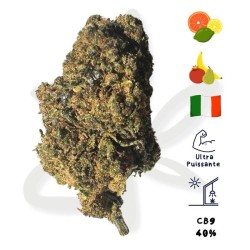 Fleur CB9 Skywalker OG 2.0