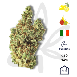 Fleur CBD Super Lemon Haze