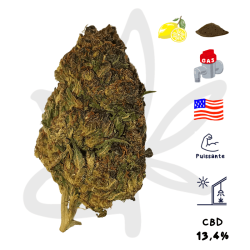 Fleur CBD Blue Magnolia