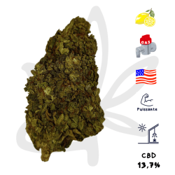 Fleur CBD Sour Pineapple Kush