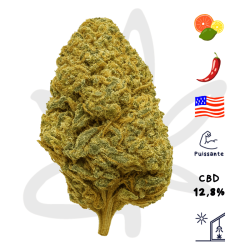 Fleur CBD Forbidden Runtz