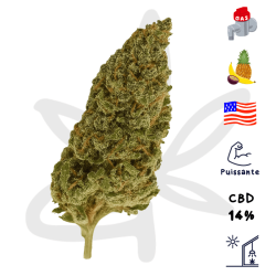 Fleur CBD Exotic Gaz