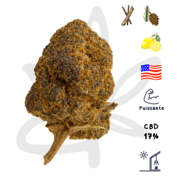 Fleur CBD Vision turbo