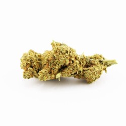 Fleur CBD Amnesia Hydro