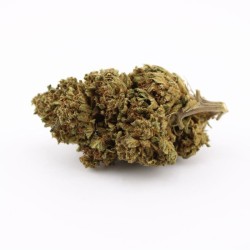 Fleur CBD Papaya Paradise -...