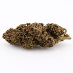 Fleur CBD Jungle Mist - Le...