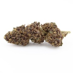 Fleur CBD Deep Purple - Le...