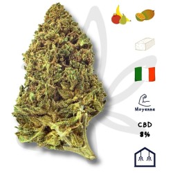 Fleur CBD Tropical Punch