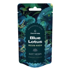 Lotus Bleu Resin Hash...