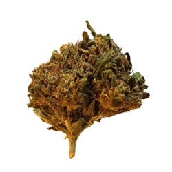 Fleur H3 Skywalker OG