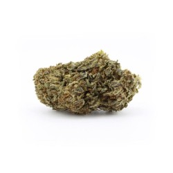 Fleur H3 Turbo Rebelle