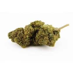 Fleur H3 Turbo Green Goblin