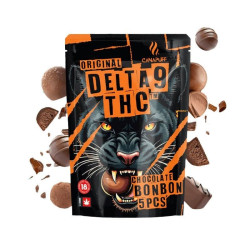 Chocolat THC 50mg Belgian Dream 5 pcs - Canapuff