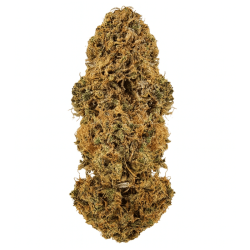 Fleur CBD Pink panther